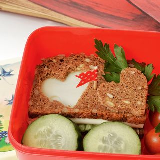 Przepisy dotyczące zapisów do szkoły