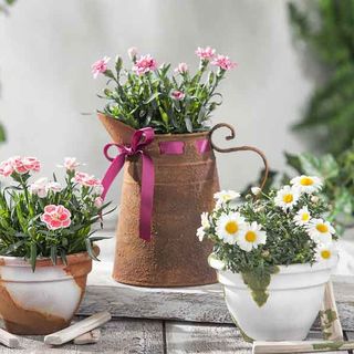 Rost-Effekt auf Ihren Deko-Objekten