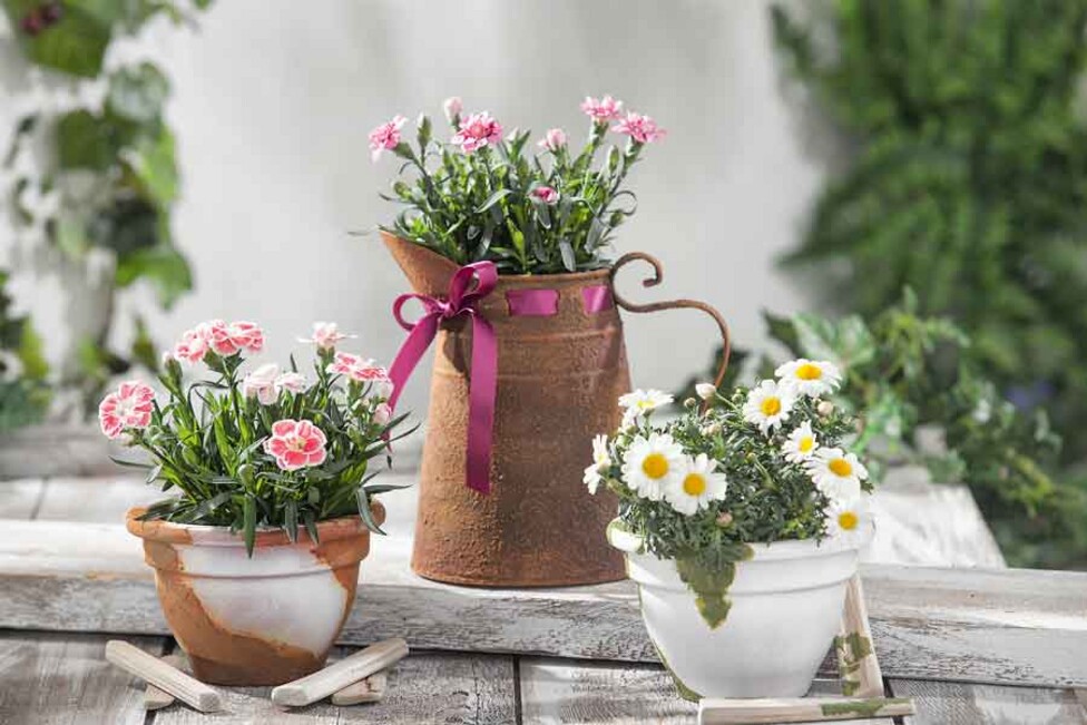 Rost-Effekt auf Ihren Deko-Objekten