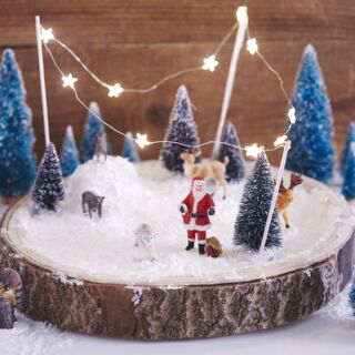 Miniaturowy krajobraz zimowy