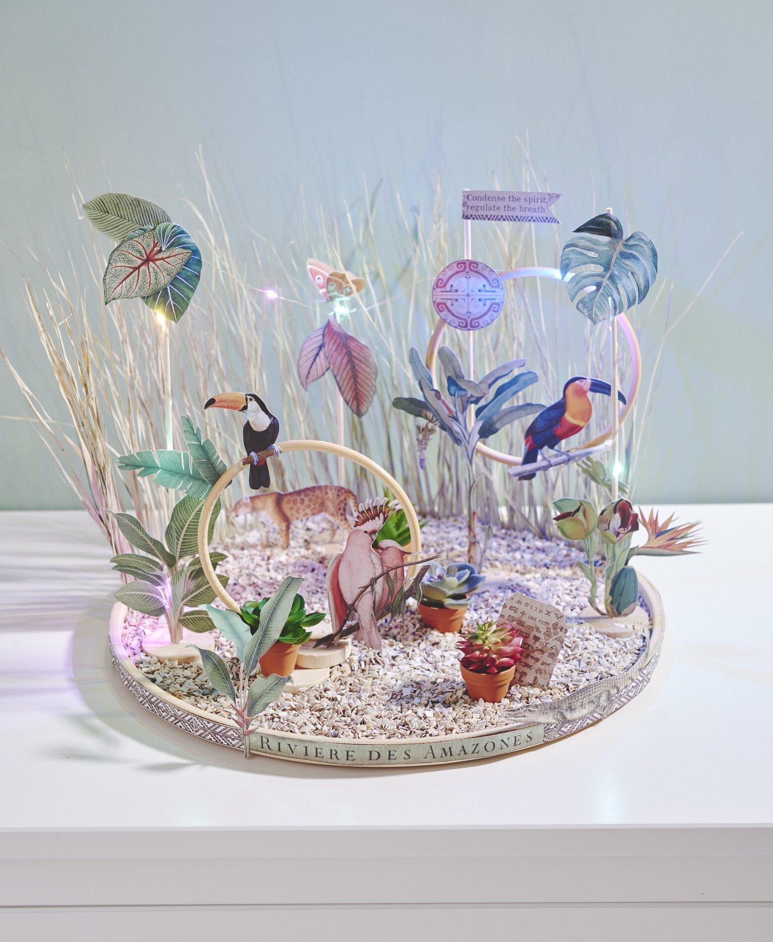 Tropischen Miniatur Dschungel Amazonia selbst gestalten