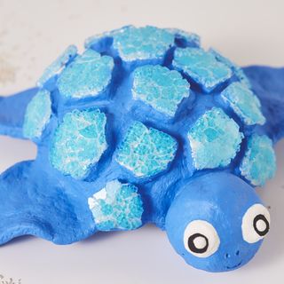 schildkröte modellieren