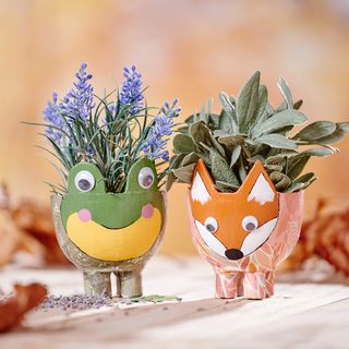 Pot Fox & Frog