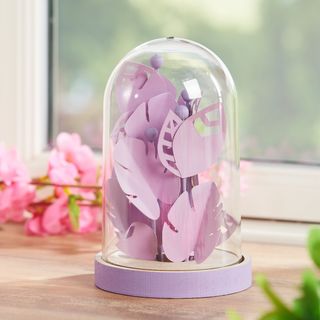 glasglocke mit papercut