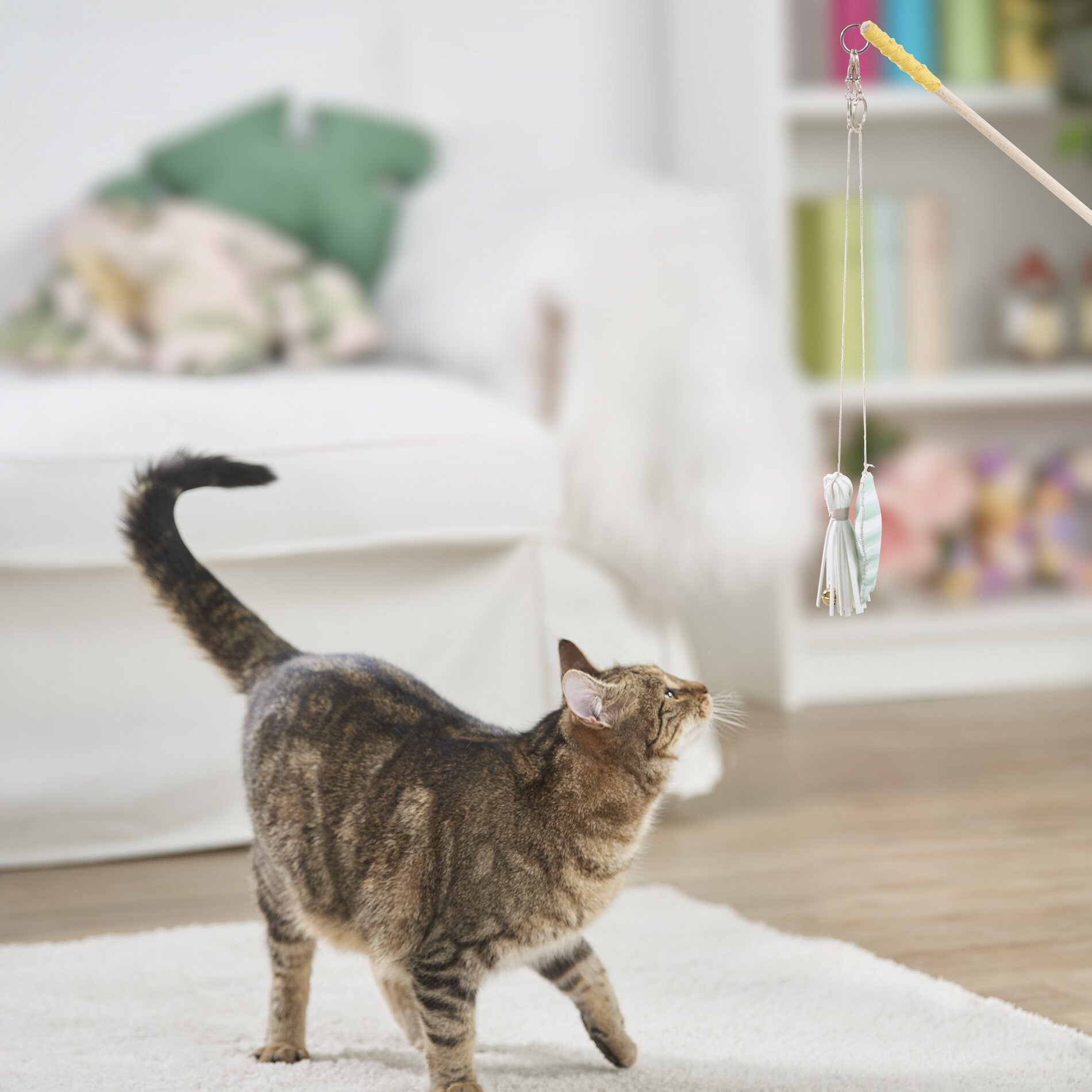 Katze mit Spielangel