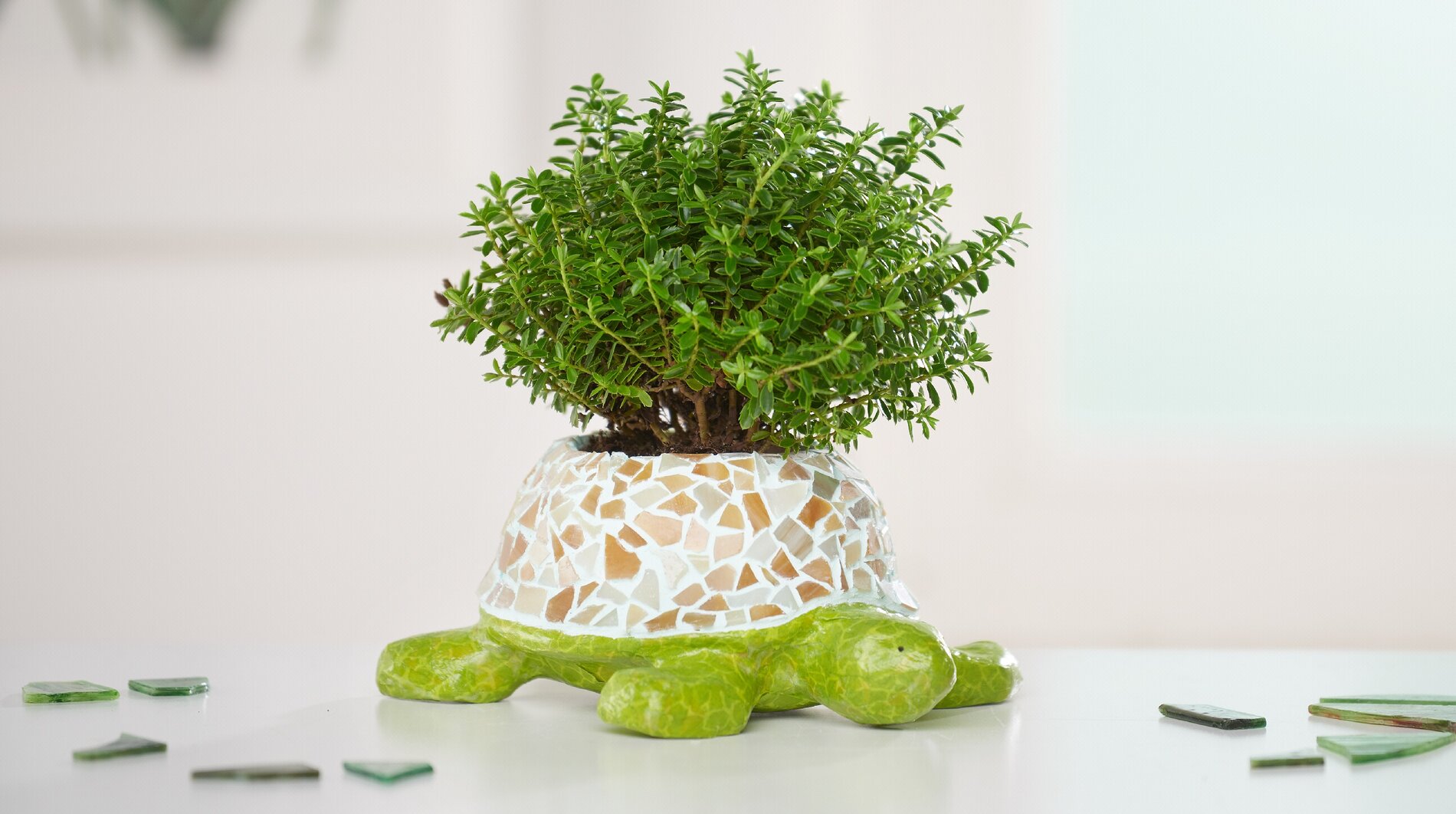 Schildkröte mit Mosaik gestalten