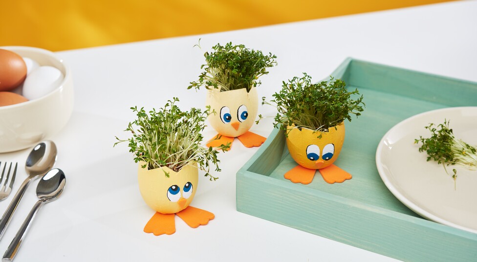 küken aus Eierschalen