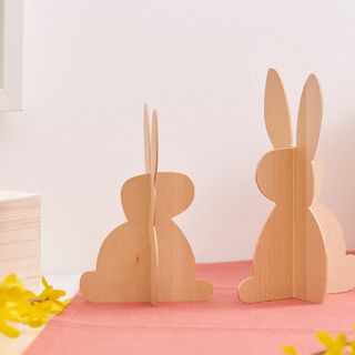 cricut hase