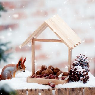 futterhaus bastelklötzchen