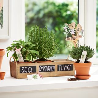 Kräuter Pflanzkasten