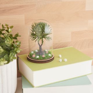 Deco-glass bell with miniature trees