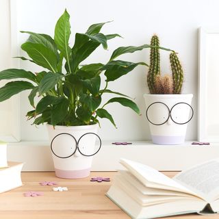 terracotta-Pots with glasses