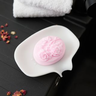Soap dish with a molded bar of soap