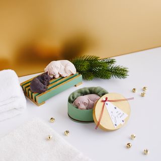 Pour soap in the shape of an animal