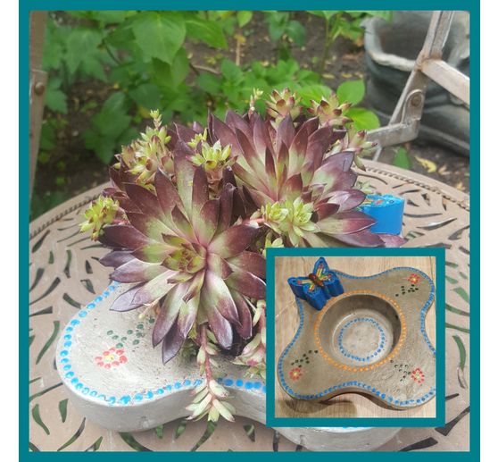 85_Petri_Pflanzschale Fr&uuml;hling