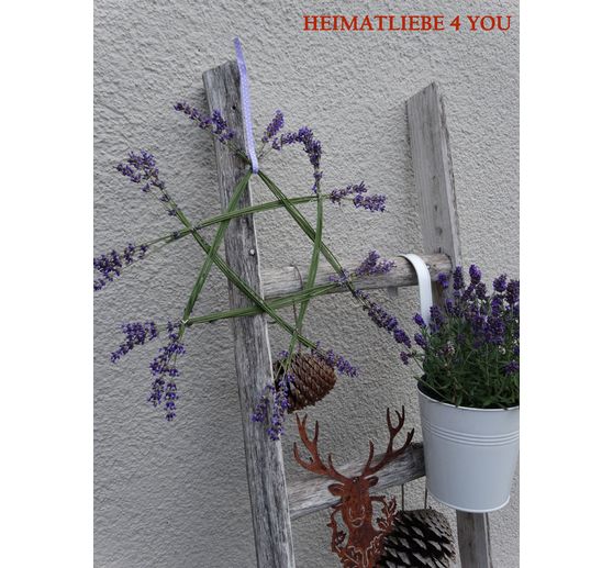 109_HEIMATLIEBE 4 YOU _ Dufter Lavendel-Stern