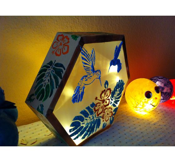 47_Angie_Lichtbox und Raupe