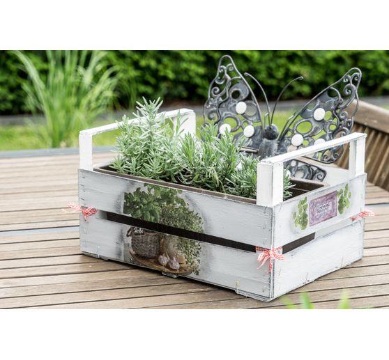 56_Sylwia_Obstkiste als Mini-Beet