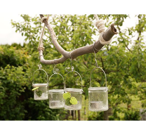 75_Lexi_Monstera im Garten