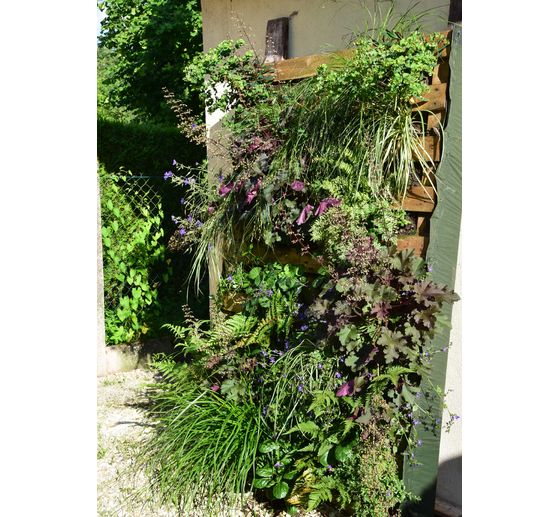 20_Clair de lune_Feu d'artifice dans le mur v&eacute;g&eacute;tal