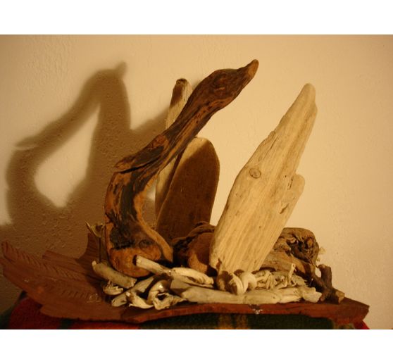 33_Quenivero_Mon cygne