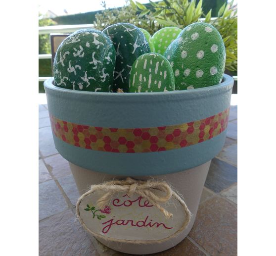 45_Marie Neige_Das cactus au jardin