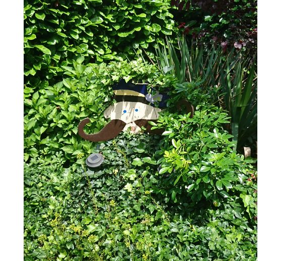 47_Canelle_Mr Lierre