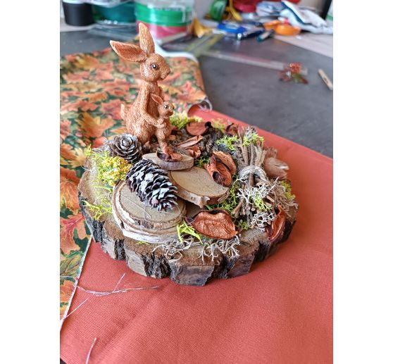 125_Fabie_Promenade en foret aux couleurs de l'automne