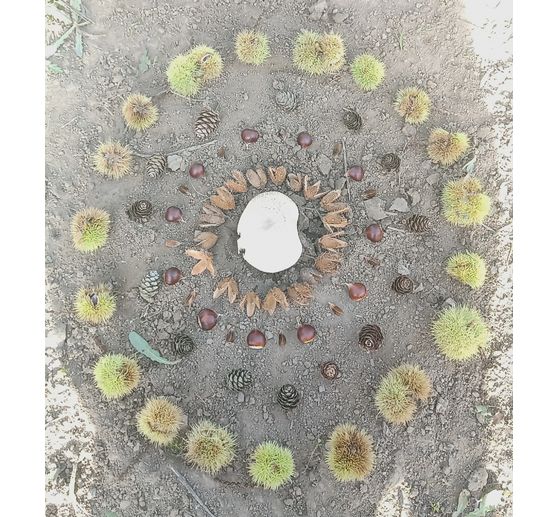 138_Campagnarde_mandala for&ecirc;t