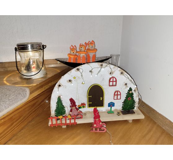 222_F&uuml;chse_Winterlandschaft