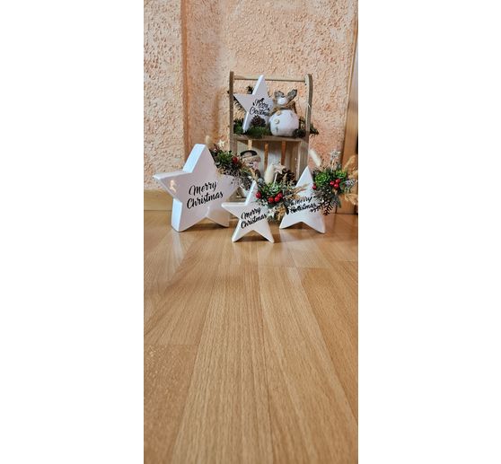 350_Sylvie's kleine Bastelstube_Stern