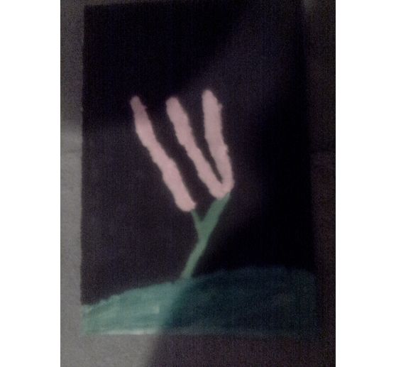 106_Charlotte_Concours