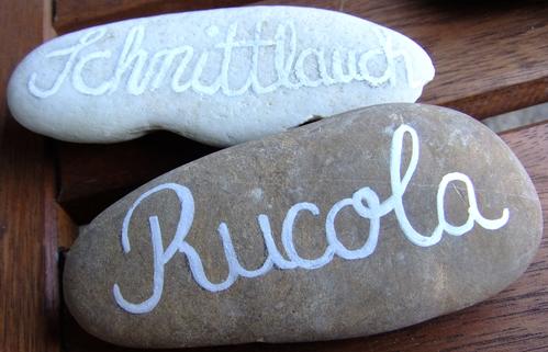 Steine Rucola Schnittlauch