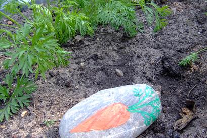 Steine bemalen Karotte