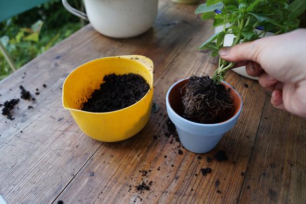 Kinderbasteln 94 Basteln mit Kindern