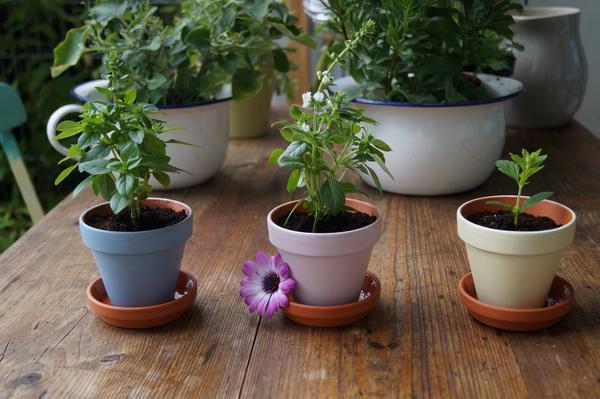 Kinderbasteln 315 Basteln mit Kindern