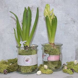 Frühling Im Glas mit Blumen im Glas als Frühlingsdeko