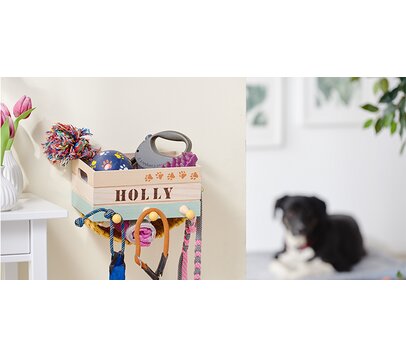 Aufbewahrung für Haustier-Accessoires gestalten