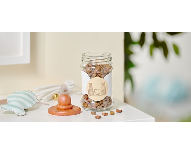 Clear Stamps "Katzen"