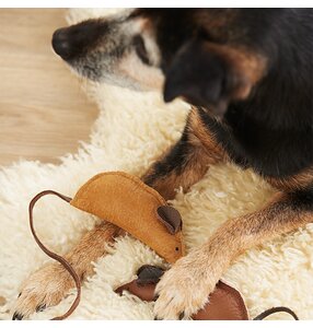 Spielzeug für Hund & Katze