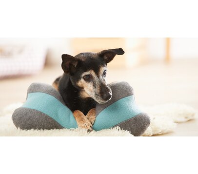 Knochenkissen nähen