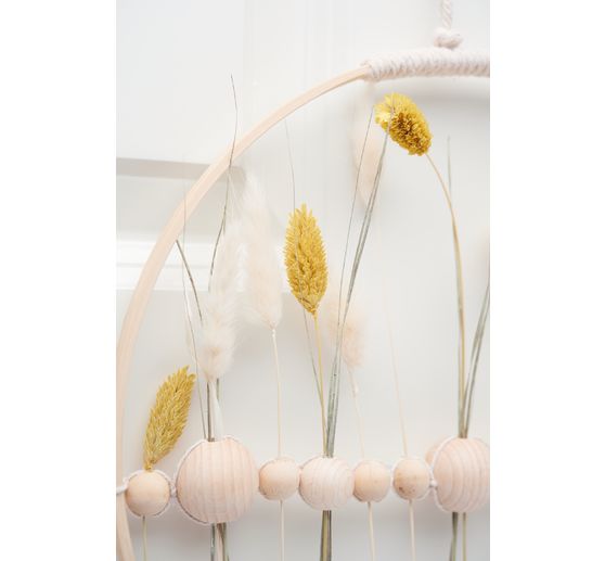 Dried flowers "Phalaris" 