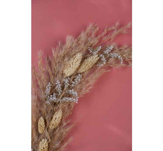 Pampas frond natural, 10 stems, L approx. 65 - 75 cm