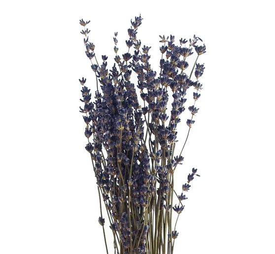 Lavender natural blue