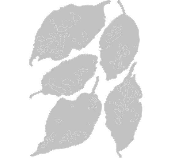 Szablon do wykrojników Sizzix Thinlits "Leaf Fragments by Tim Holtz".