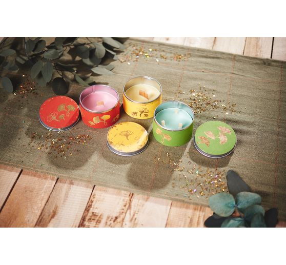 Organic plant based wax