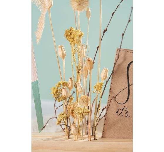 Dried flowers set "Thistle" 