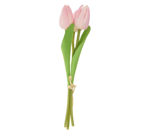 VBS Tulipan "Tammie"