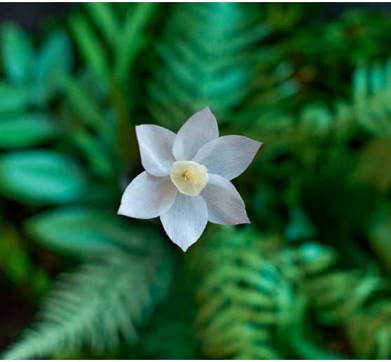 Lia Griffith, Wyjątkowo cienka bibuła marszczona "Secret Garden"