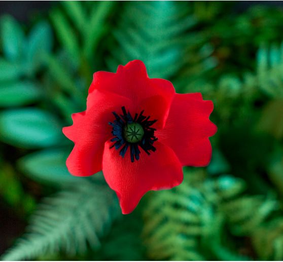 Lia Griffith, extra fine crêpepaper "Enchanted Garden"